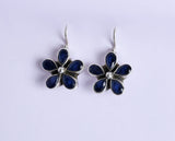 Hydro Blue Sapphire Hook Earrings